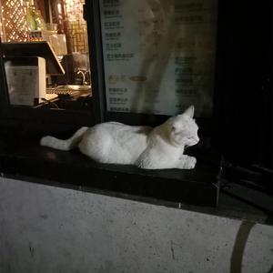 Gay打男生光屁股网站
